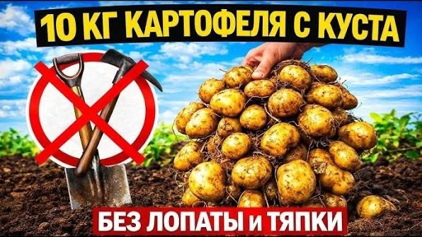 Картофельная революция, получи рекордный урожай!
