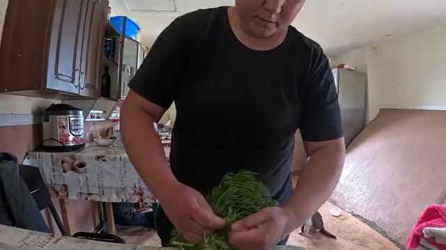 Наталья Губарева. КУПИЛА КУРОЧЕК  ЖИЗНЬ В ДЕРЕВНЕ 