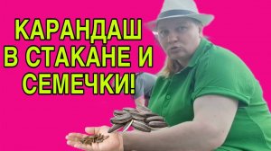 КАРАНДАШ В СТАКАНЕ И СЕМЕЧКИ. ОЛЬГА ИЗ ЗАУРАЛЬЯ. ОБЗОР.