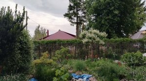 БЛАГОДАРНОСТЬ 19-05-2026