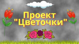 Проект цветочки