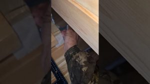 1000058904.mp4 (Собака наблюдает за устройством лестницы на 2-ой этаж в доме А-фрейм)