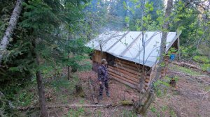 СТРОЮ САМЫЙ КРАСИВЫЙ ДОМ В ТАЙГЕ,ИЗ ПОВАЛЕННЫХ ВЕТРОМ ДЕРЕВЬЕВ. ПОВСЕДНЕВНЫЕ, БЫТОВЫЕ ХЛОПОТЫ.