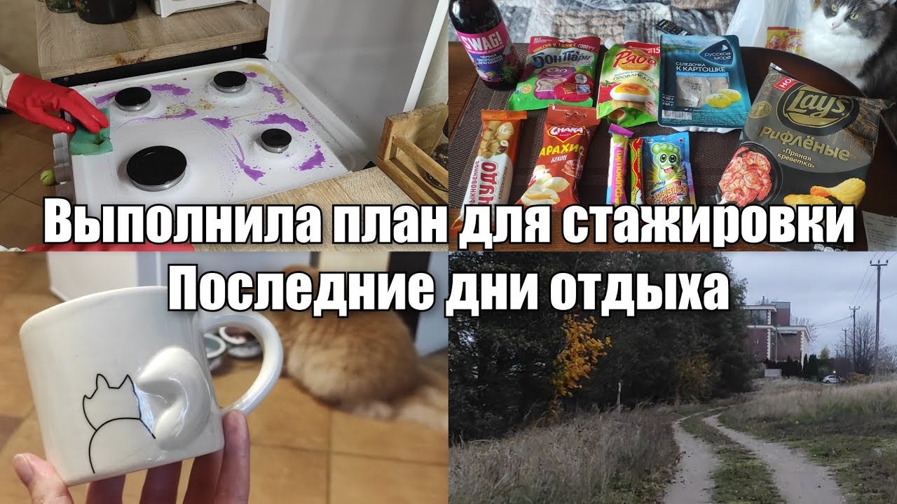 АРХИВ 2024 | Vlog: прошла стажировку | что дальше? | 31.10-01.11.2024