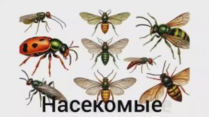 Развивашки для детей. Изучаем насекомых. Развивающее и обучающее видео для самых маленьких.