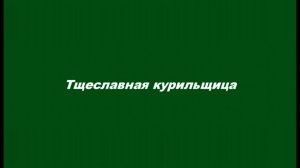 Тщеславная курильщица