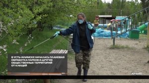 В Усть-Илимске началась обработка парков и других общественных территорий от клещей 15-05-2026