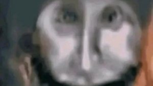 эдит экстримам **пишите какой добавить**