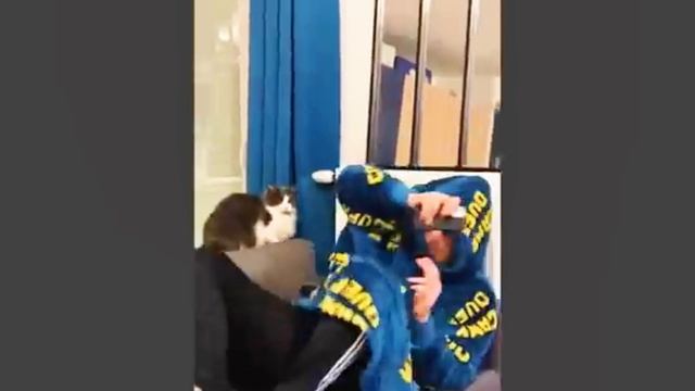 Смешные видео с котиками и собачками 🥰 попробуй не рассмеяться 🤣