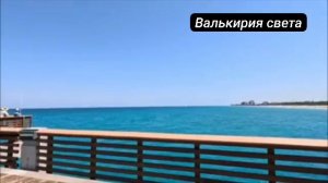 Маджестик 12.Глогер.