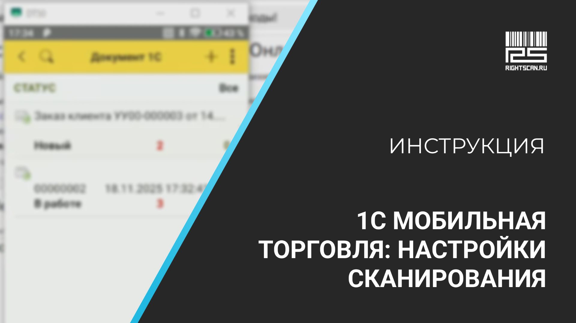 1С Мобильная торговля: настройки сканирования