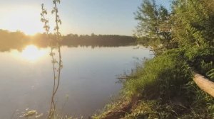 К реке Суре через джунгли