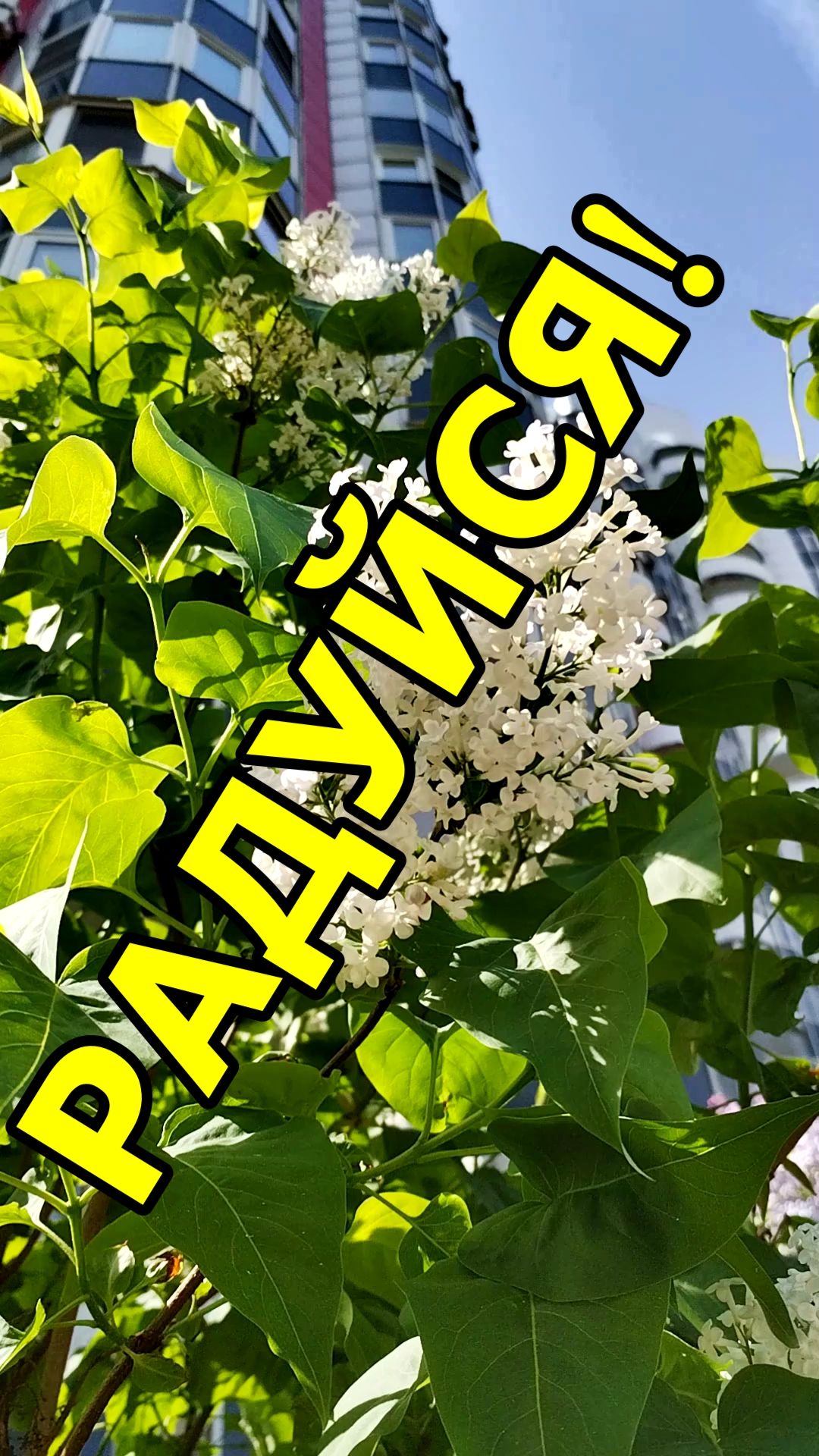 РАДУЙСЯ🤩