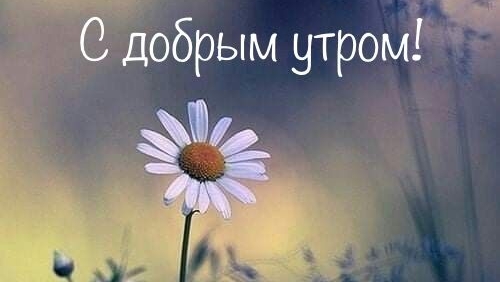 Доброе утро мая! Шикарная музыкальная открытка.