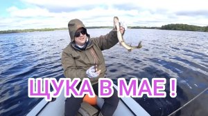 Псковская область // Щука на спиннинг!