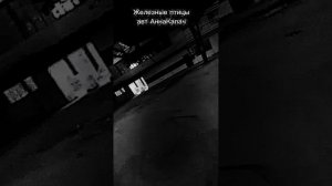 Железные птицы. авт: АннаКапач