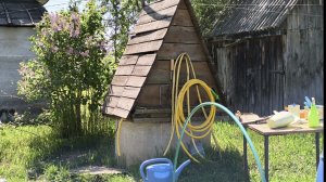 Показала, что растет в нашем дворе🏡 Черешня🍒в цвету