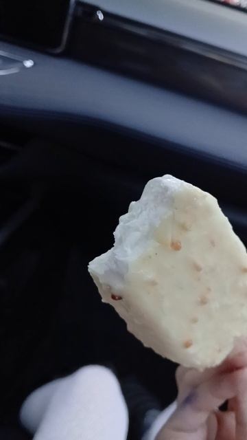 Пробуем мороженое пломбир🍦