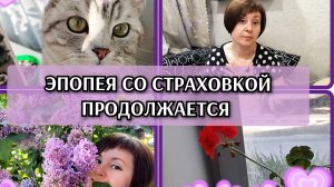 19-05-2026 Сирень - моя любовь ❤️ Кругом цветы🌺 Бюрократия🤦Отвечаю на комментарии🙂