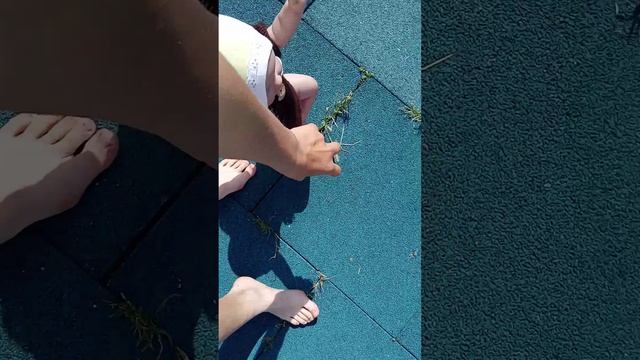 прогулка с двумя реборнами