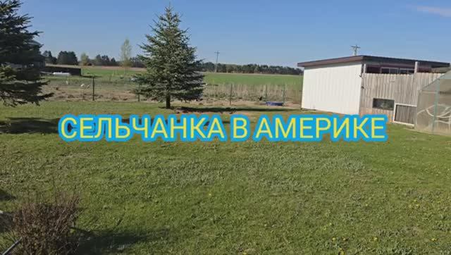 Сельчанка в Америке США НАЧИНАЮТЬСЯ ОГОРОДЫ
