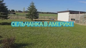 Сельчанка в Америке США НАЧИНАЮТЬСЯ ОГОРОДЫ