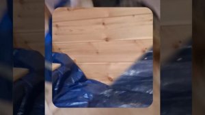 1000058978.mp4 (Собака наблюдает за устройством лестницы на 2-ой этаж в доме А-фрейм)