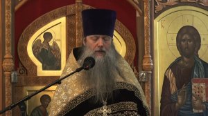 «О слепоте душевной». Проповедь протоиерея Артемия Владимирова. 170526.