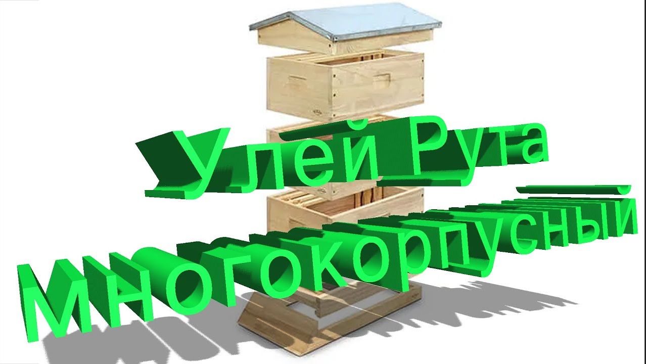 Улей Рута (многокорпусной): плюсы, минусы и кому он подходит | Профессор Кашковский 🐝🏗️
