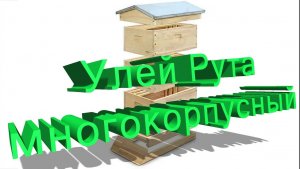 Улей Рута (многокорпусной): плюсы, минусы и кому он подходит | Профессор Кашковский 🐝🏗️