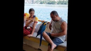 56 попугай Кеша и ДИма 45 лет