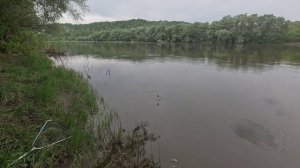 Дон, Покровка, фидер, Карась.