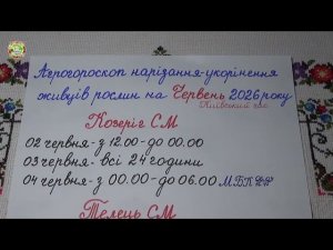 Июнь 2026: Самые Лучшие Дни Для Укоренения Черенков и Отводков?!
