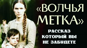 Жизненная история! ВОЛЧЬЯ МЕТКА! История из жизни, аудио рассказы