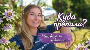 Мой сад после дождей. Новинки природы и вечный труд.