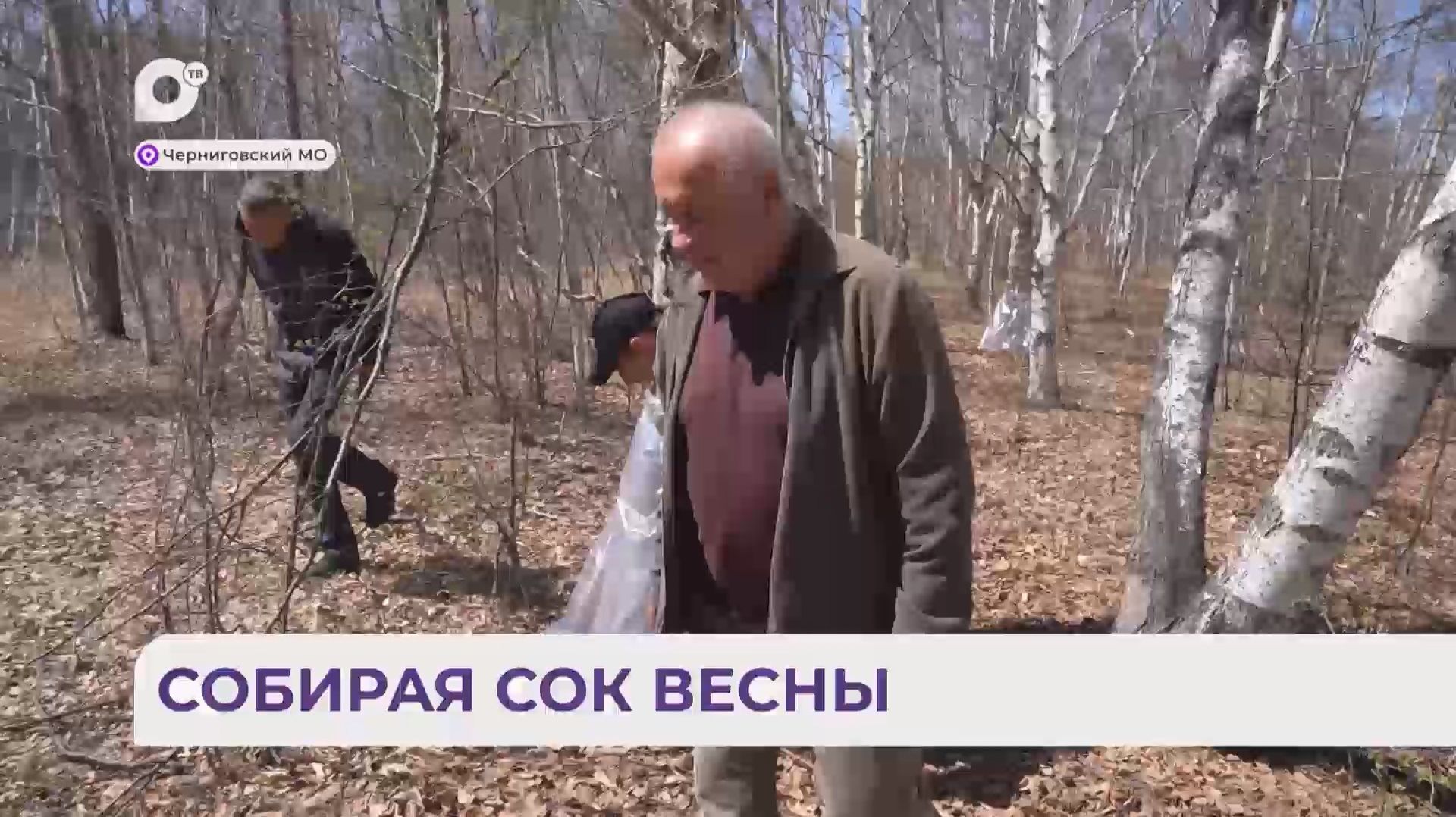 Без комментариев / Березовый сок / 19.05.26
