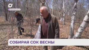 Без комментариев / Березовый сок / 19.05.26
