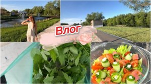 Влог, рассада для посадки, что на огороде