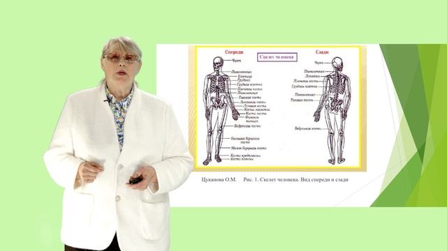 Цуканова О.М. Лекция 1. Организм человека, как единая саморазвивающаяся биологическая система. Ч 1