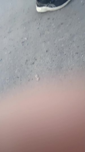 Золото