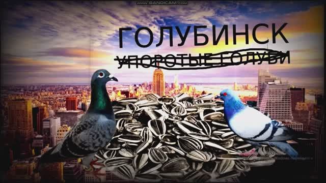 Канал голубей видео сейчас Vs раньше