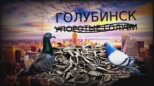 Канал голубей видео сейчас vs раньше