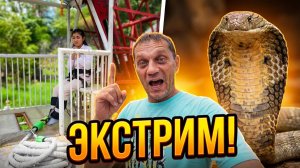 ЭКСТРИМ В ПАТТАЙЕ: Прыжок с высоты, Парк Changthai Thappraya Safari, Мини Зоопарк!
