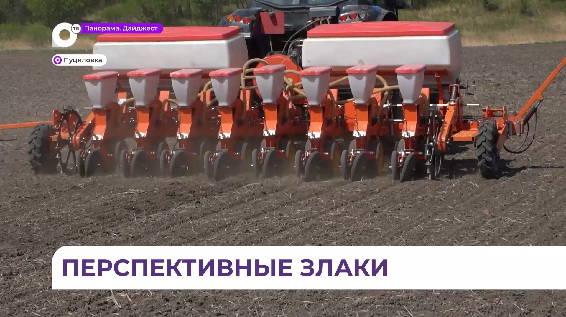 Первые демонстрационные посевы рапса организовали в Уссурийском округе
