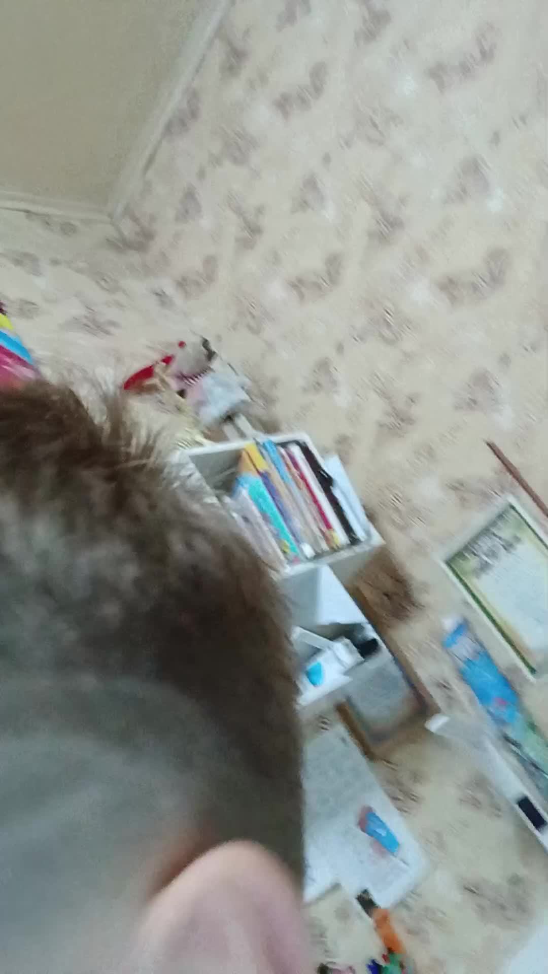 ллл смотреть онлайн
