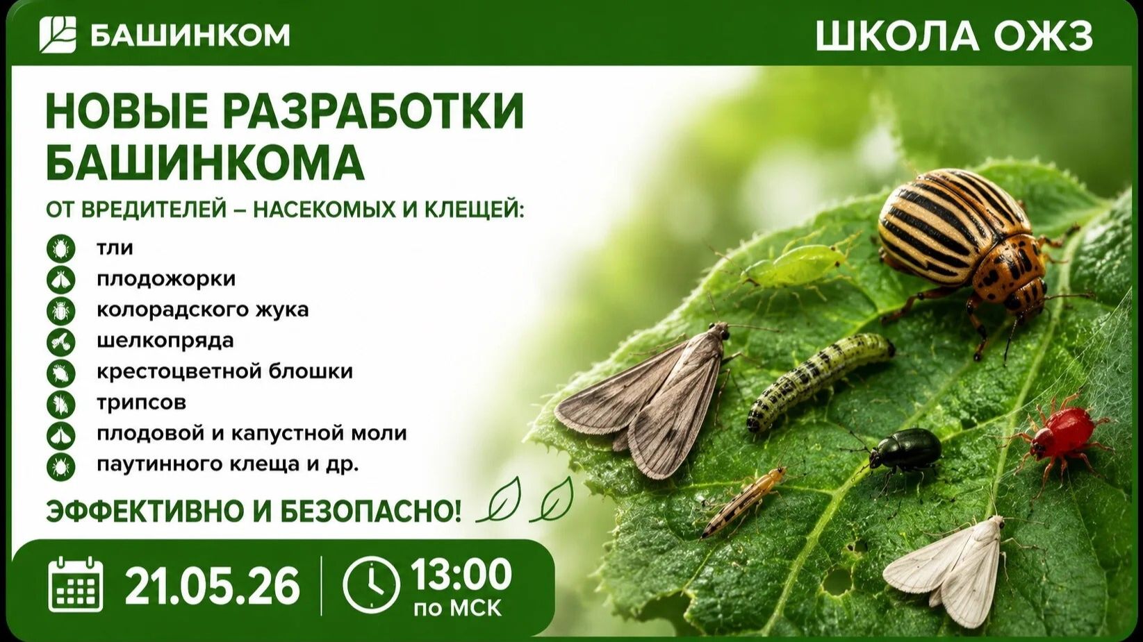 Вредители не пройдут! Если ваш огород и сад будут под надежной защитой биопрепаратов. Школа ОЖЗ