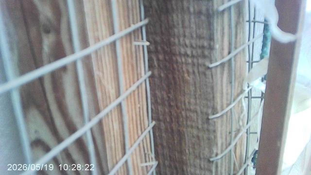 Отрываю конструкционную рейку с помощью тыльного гвоздодёра молотка