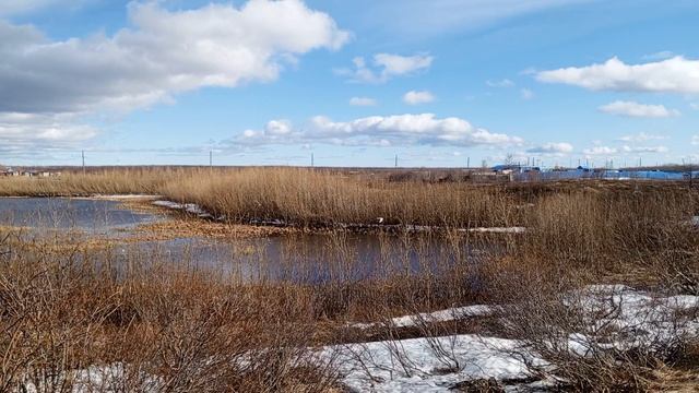 VID_20260519_171642