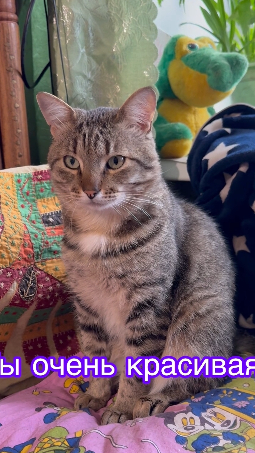 У Зиточки есть секрет😻😍🥰🤩🐈😁😍