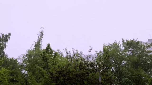 ВЫ СРАЗУ ЖЕ ЗАСНЕТЕ ПОД ЗВУКИ ГОРОДСКОГО ДОЖДЯ, МГНОВЕННО РАССЛАБИТЕСЬ